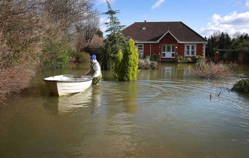 How to Help Your Tree Recover from a Flood?