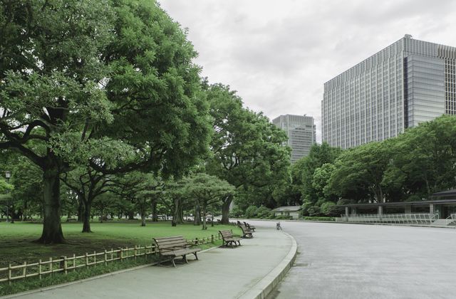 Ways Urban Trees Make You More Active Outdoors