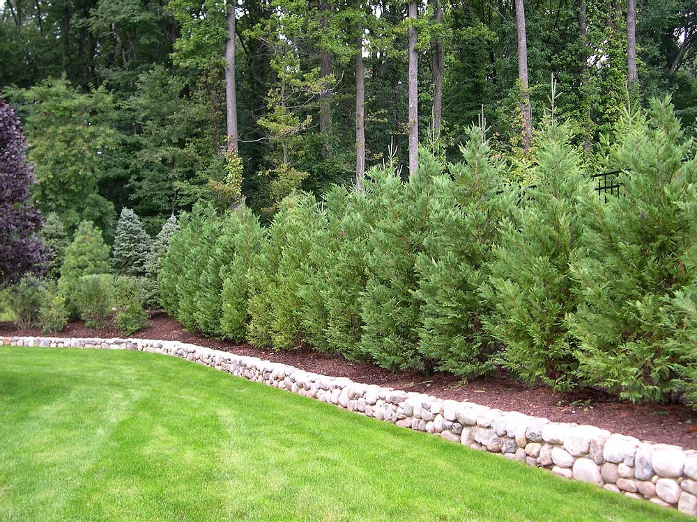 Fast Growing Trees for Privacy - 1621537064blog 0520 19