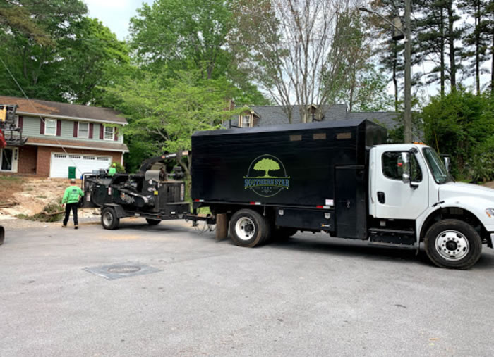 Removing Trees Near Power Lines