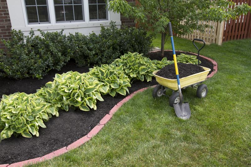7 Benefits of Adding Mulch to Your Yard