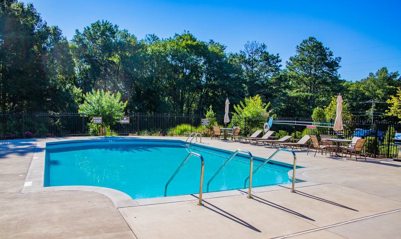 Why You Should Not Keep Trees Too Close to Your Pool