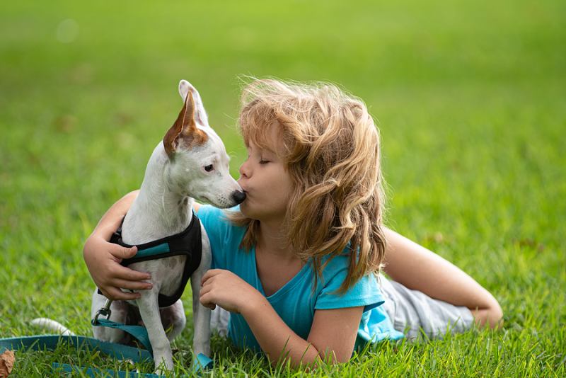 Are Trees Dangerous to Kids & Pets?