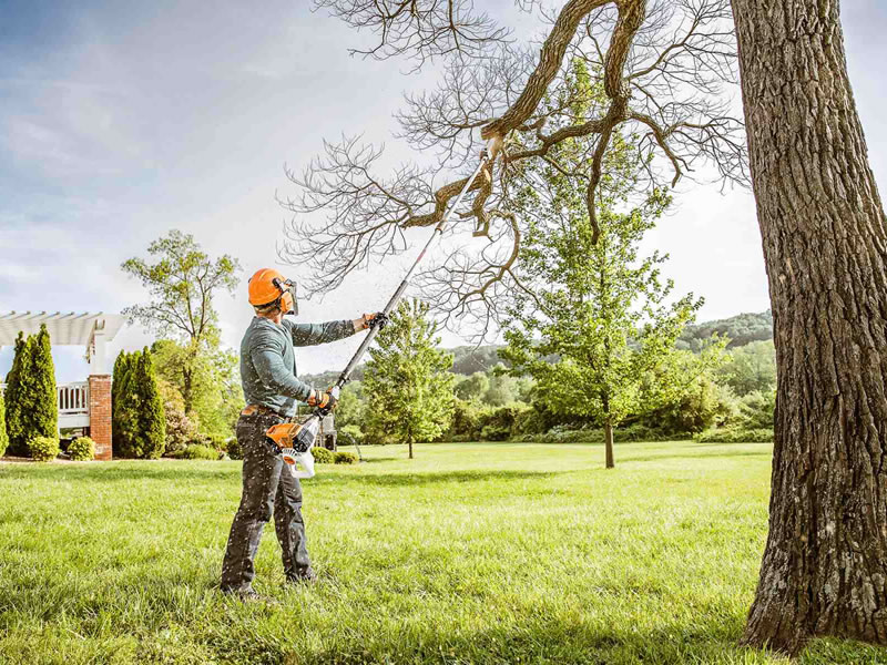 What's Inside an Arborist's Toolbox?