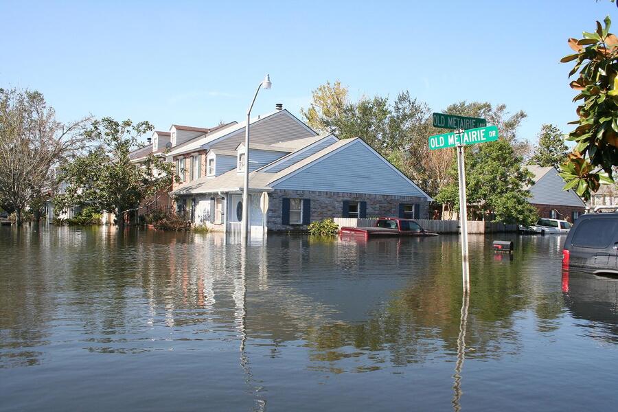 How Flooding Affects Trees