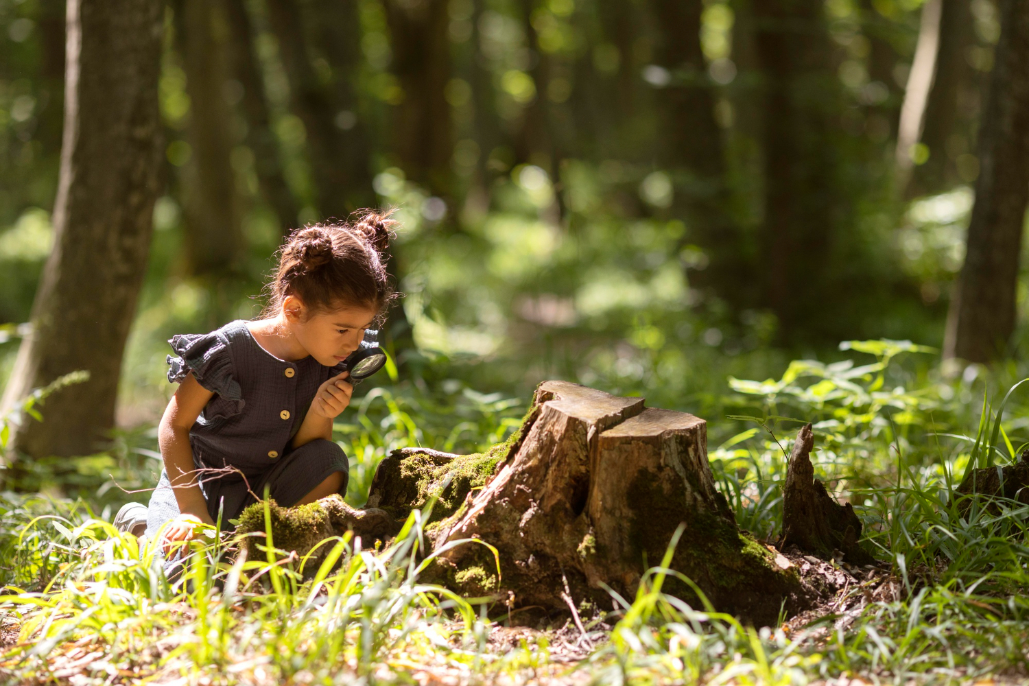 The Environmental Benefits of Tree Removal