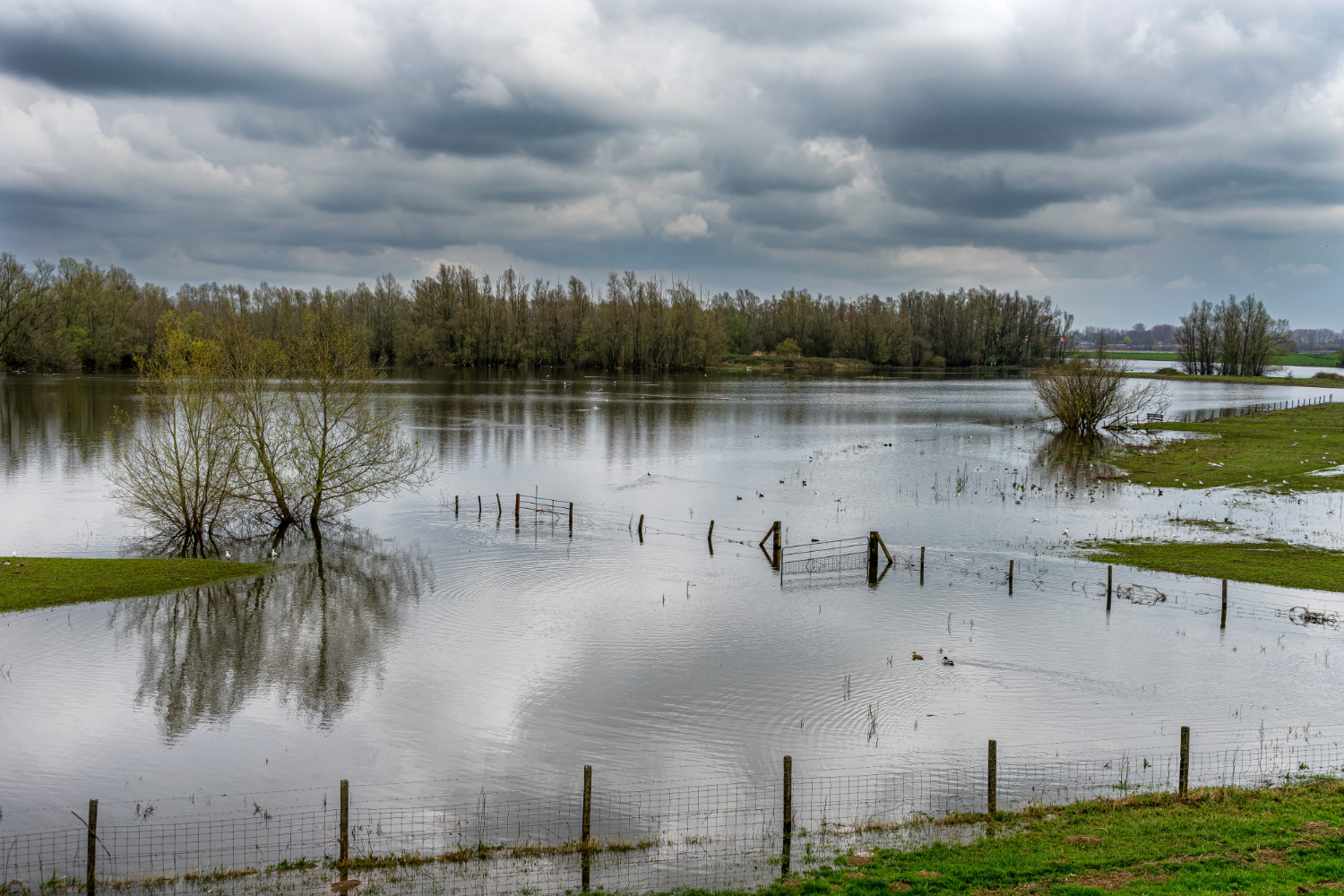 Stormwater Retention Ponds: Your First Line of Defense Against Flooding