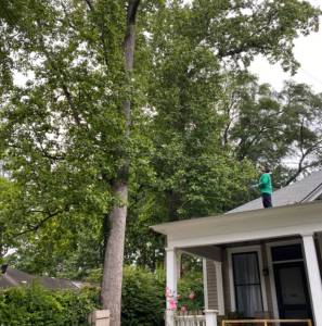 Why Roof Clearing is Important