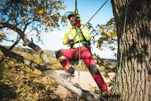 Latest Techniques in Tree Trimming and Pruning