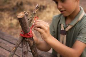 How to Support Tree Limbs