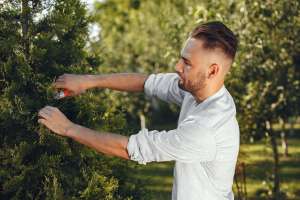 Guide Young Trees in the Right Direction with Trimming