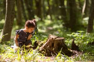 The Environmental Benefits of Tree Removal