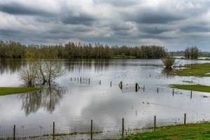 Stormwater Retention Ponds: Your First Line of Defense Against Flooding