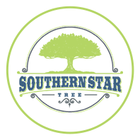 Tree Service