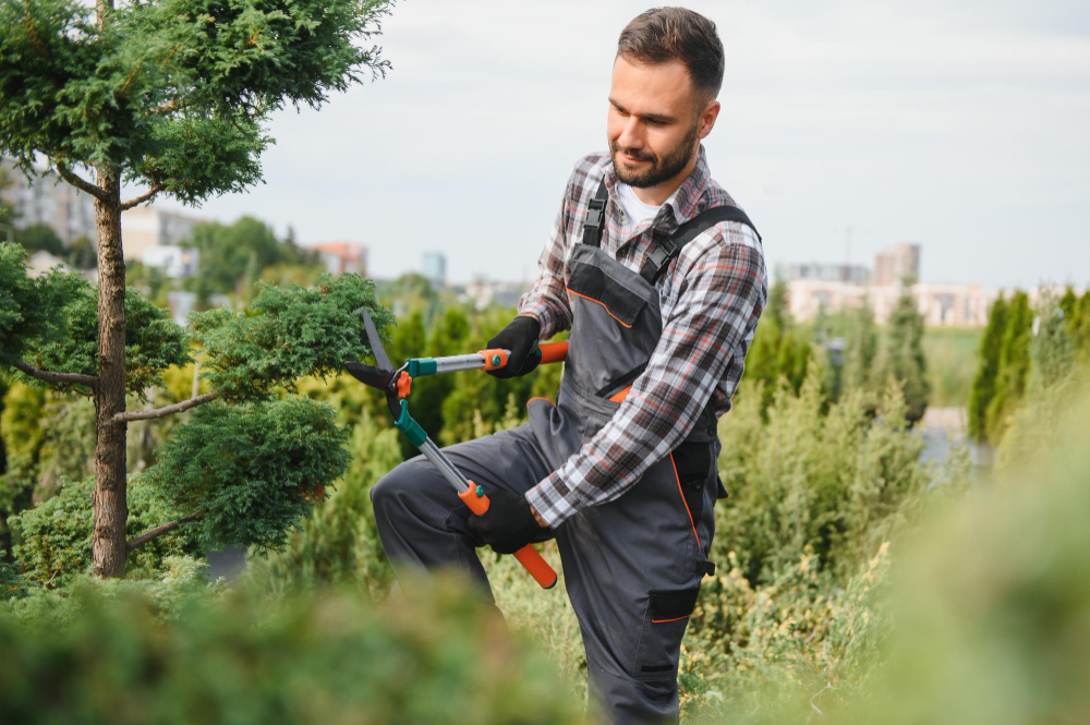How Tree Trimming Helps Protect Your Property Before Storm Season