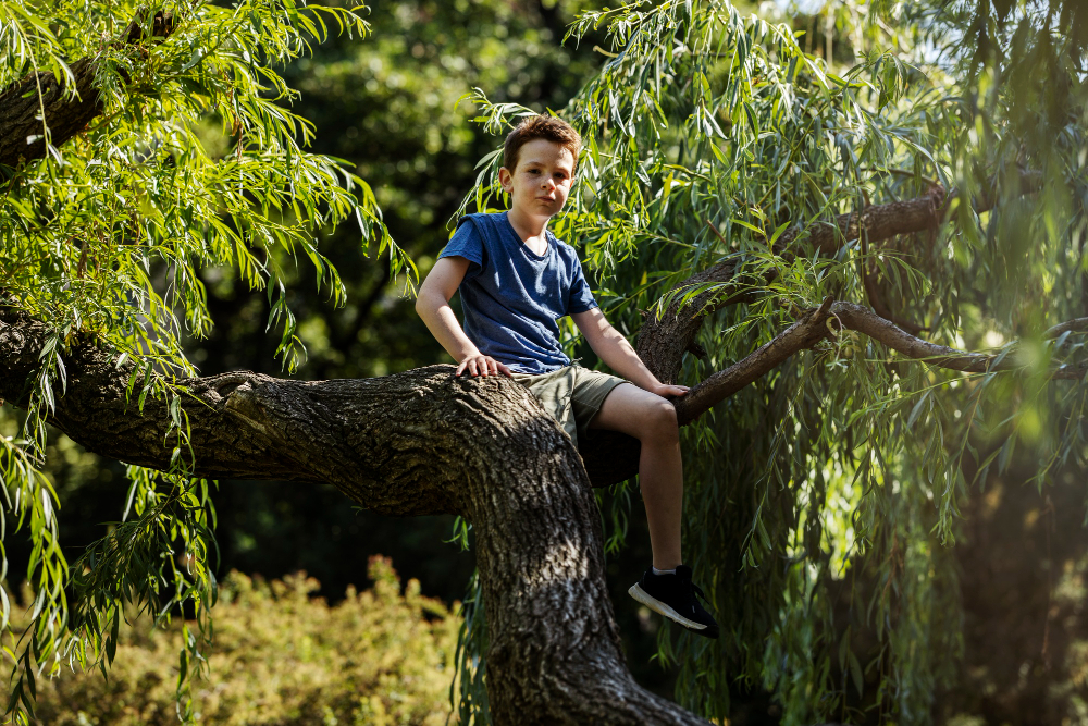 Why a Leaning Tree Is More Dangerous Than It Looks