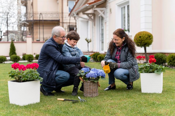Landscaping Tips for New Homeowners