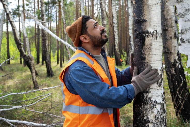Signs Your Trees Need Professional Attention—Before It’s Too Late