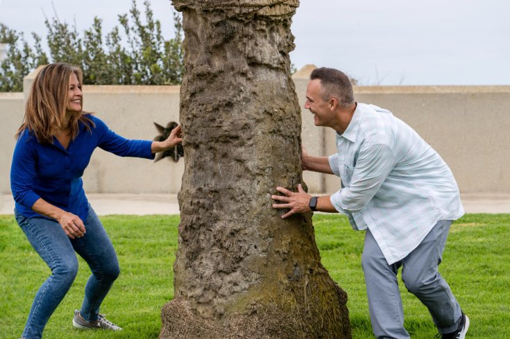 Is That Tree Too Close to Your House? Warning Signs