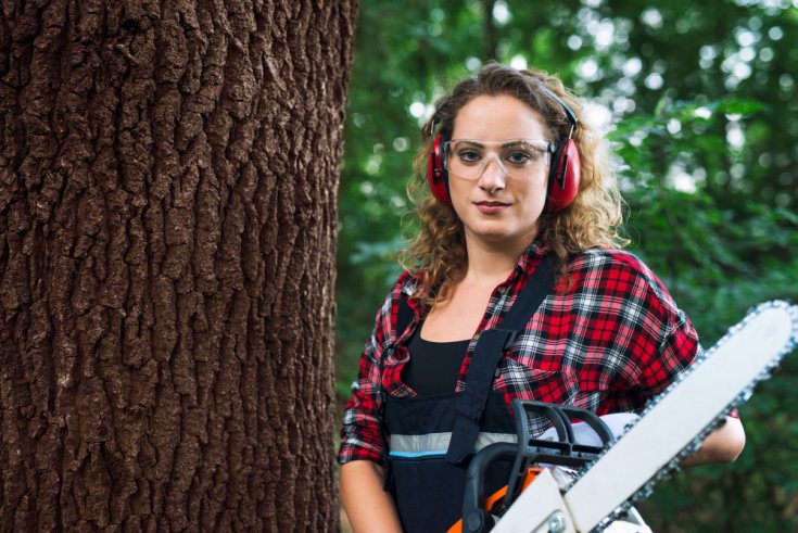 The Difference Between an Arborist and a Tree Trimming Service