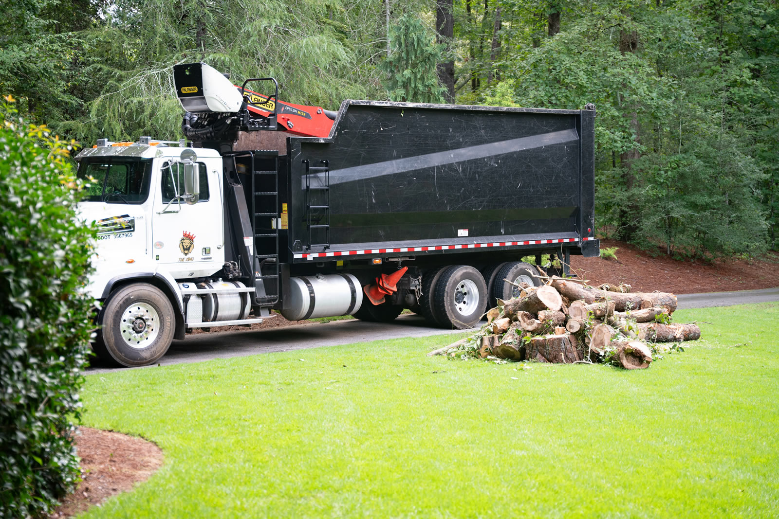 Trusted Tree Company Serving Brookhaven, GA