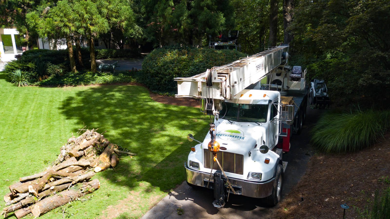 Trusted Tree Company Serving Lawrenceville, GA