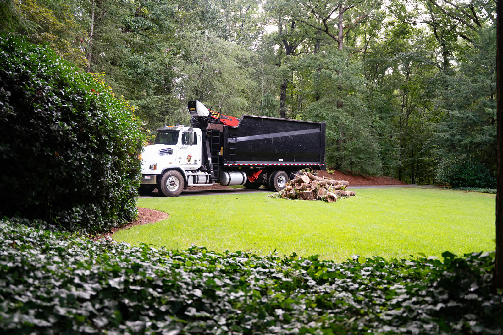 Trusted Tree Company Serving Sandy Springs, GA