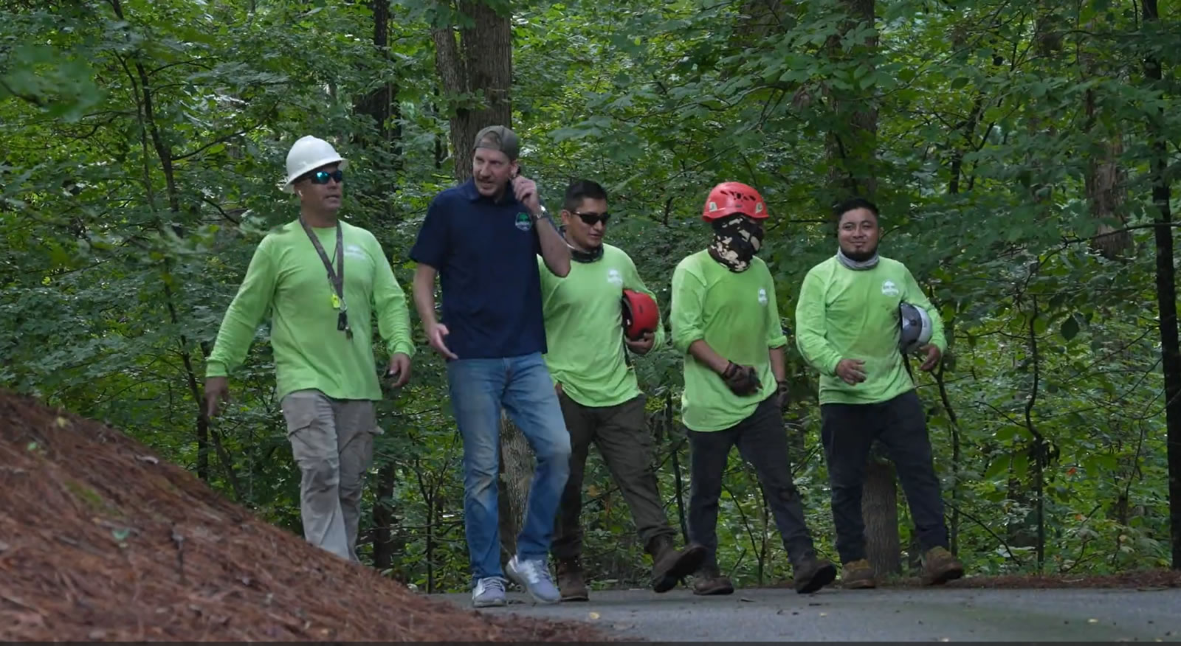 Contact Southern Star Tree