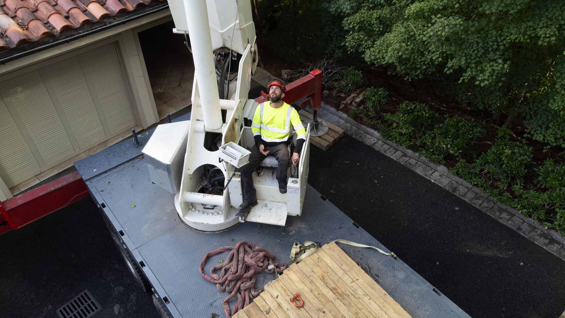 Trusted Tree Company Serving Vinings, GA