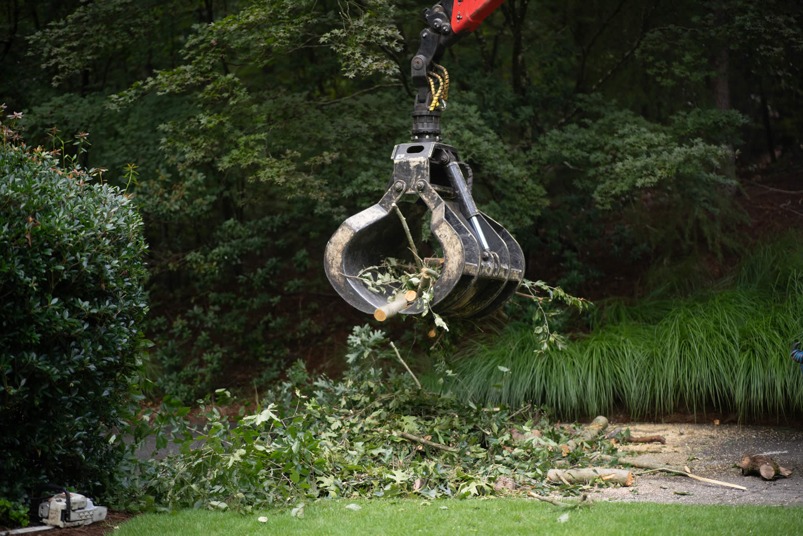 Trusted Tree Company Serving Stone Mountain, GA