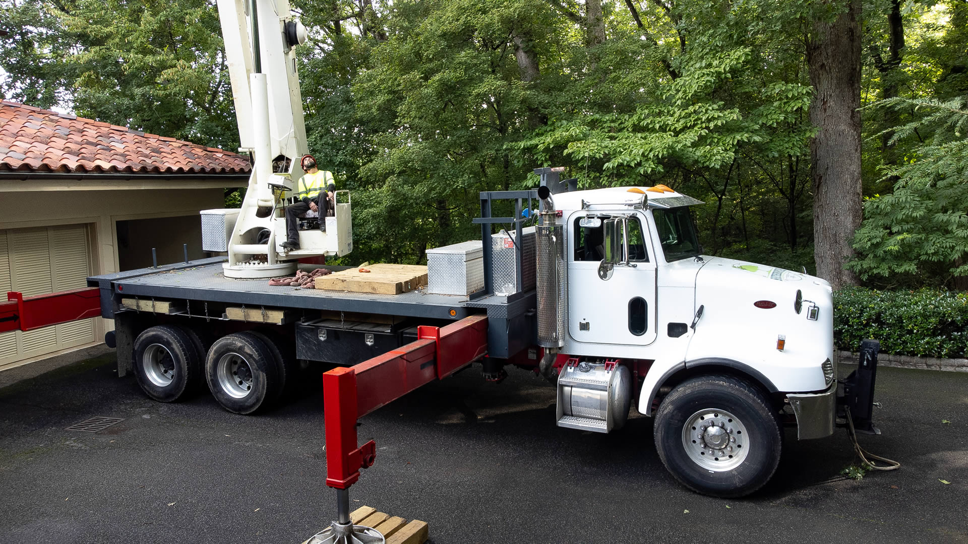 Commercial Tree Services