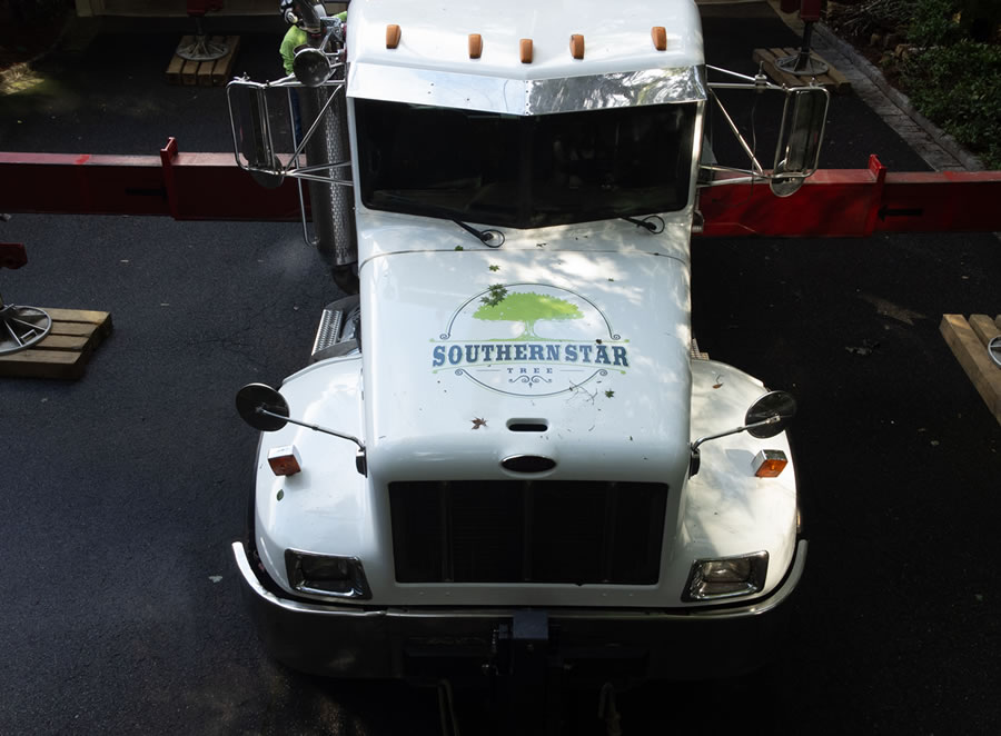 Trusted Tree Company Serving Alpharetta, GA