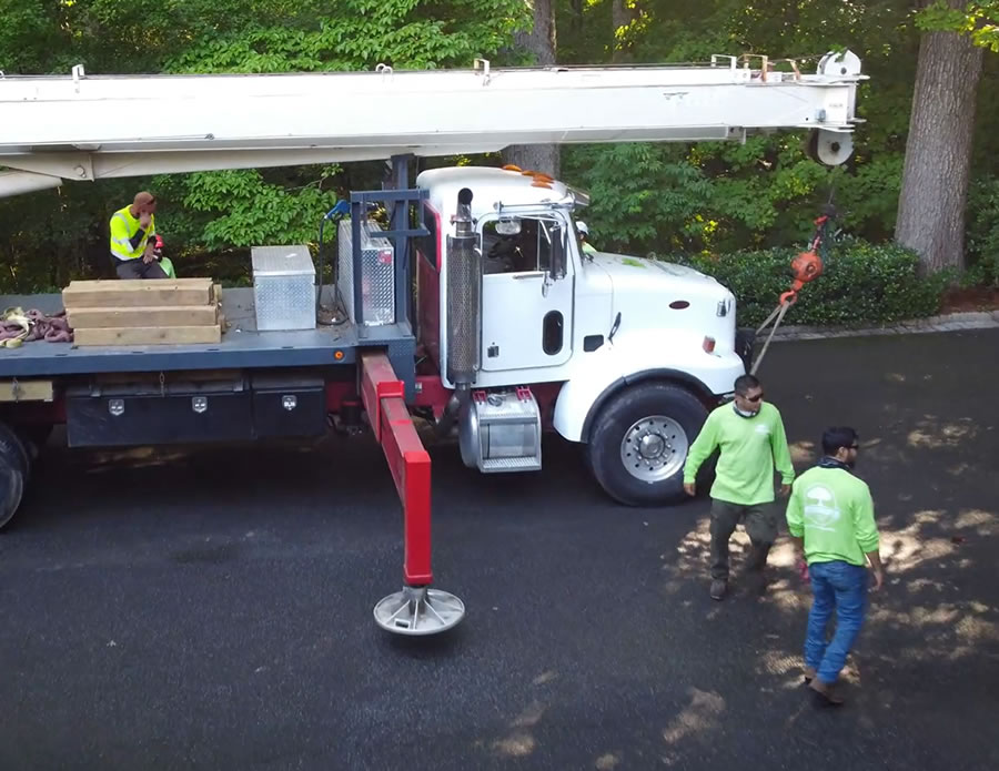 Trusted Tree Company Serving Buckhead, GA