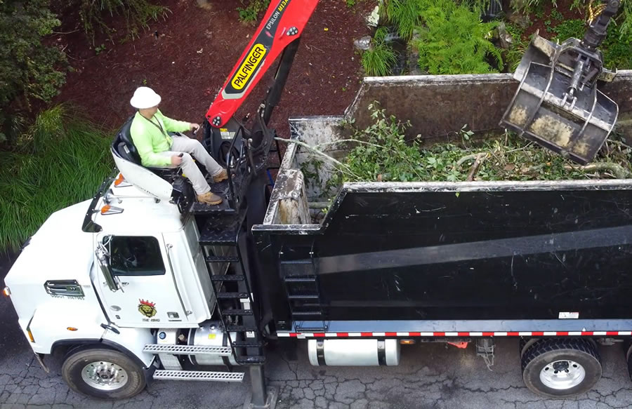 Trusted Tree Company Serving Buckhead, GA