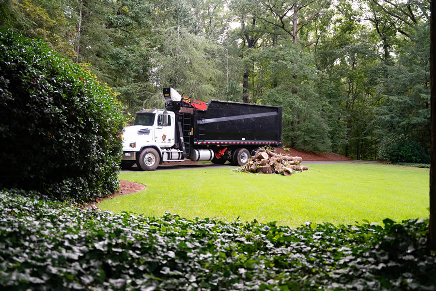 Trusted Tree Company Serving Lawrenceville, GA