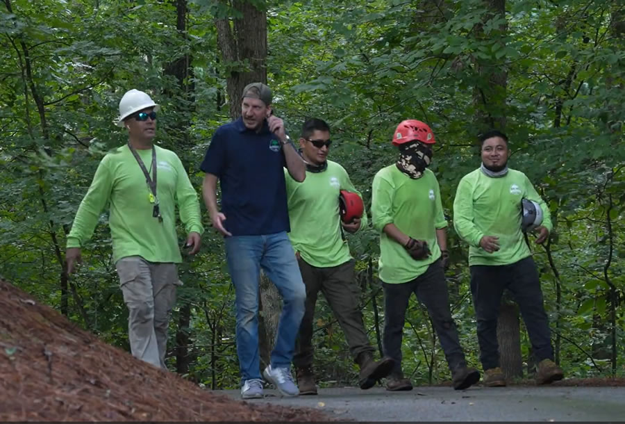 Trusted Tree Company Serving Lilburn, GA