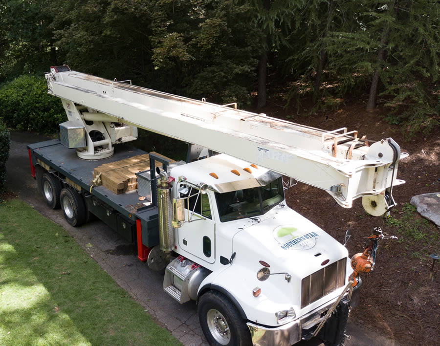 Trusted Tree Company Serving Sandy Springs, GA