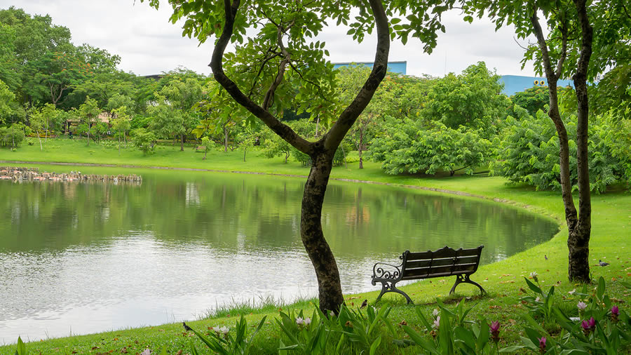Stormwater & Retention Pond Management